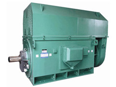 双河Y系列6KV高压电机生产厂家